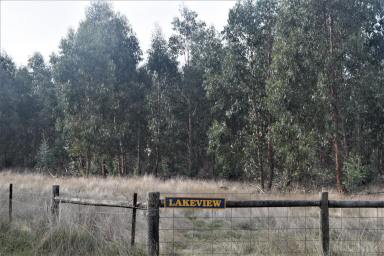 Farm For Sale - VIC - Mount Bolton - 3352 - 46.5Ha (approx. 115 acres) Homesite/Investment Opportunity; Fully-fenced; Permanent Spring; Extensive Views.  (Image 2)