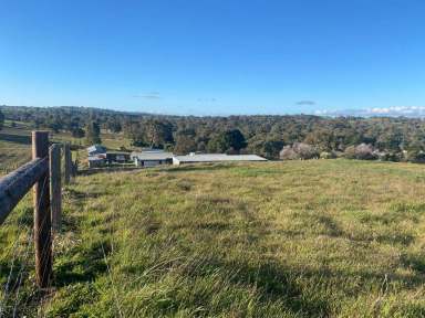 Farm Sold - SA - Eden Valley - 5235 - 8.04 Ha of stunning Eden Valley country. 1920's villa, sheds, views, space, community and peace.  (Image 2)