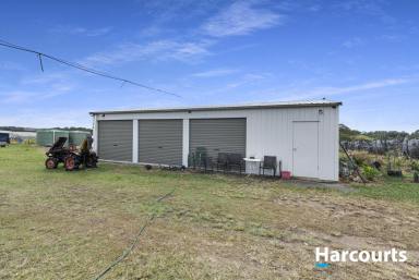 Farm Sold - QLD - South Isis - 4660 - 6 ACRES - SHED - 6 MG OF WATER ALLOCATION  (Image 2)