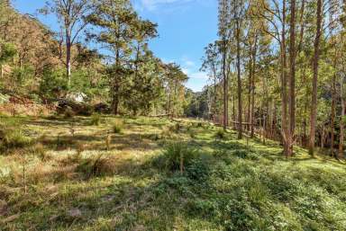 Farm Sold - NSW - Laguna - 2325 - Established Hobby Farm  (Image 2)