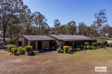 Farm Sold - QLD - Placid Hills - 4343 - ALL REASONABLE OFFERS CONSIDERED.  (Image 2)