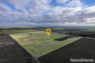 Farm Sold - SA - Brinkley - 5253 - "Your slice of country life"- 40ha (100 acres)  (Image 2)
