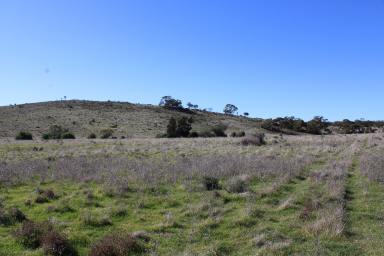 Farm Sold - SA - Minvalara - 5422 - NEW PRICE!! Opportunistic Grazing Extension or Peaceful Lifestyle Block  (Image 2)
