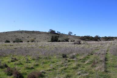 Farm Sold - SA - Minvalara - 5422 - NEW PRICE!! Opportunistic Grazing Extension or Peaceful Lifestyle Block  (Image 2)