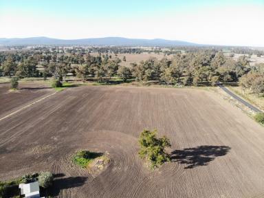 Farm Sold - NSW - Bimbi - 2810 - The perfect country lifestyle escape awaits here in the historic village of Bimbi.  (Image 2)