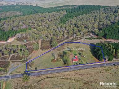 Farm Sold - TAS - Ouse - 7140 - Lovely Home with 5 Acres of Flat Land  (Image 2)