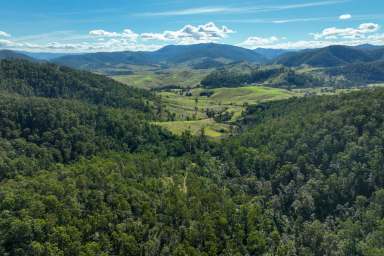 Farm Sold - NSW - Number One - 2424 - OFFERS INVITED - 545 ACRES  (Image 2)