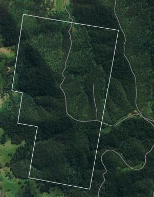 Farm For Sale - NSW - Number One - 2424 - 545 ACRES OF NATURE LOVERS PARADISE  (Image 2)