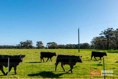 Farm Sold - WA - Mount Barker - 6324 - 37 Acres of the Best that Mount Barker can offer!  (Image 2)