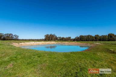 Farm Sold - WA - Mount Barker - 6324 - 37 Acres of the Best that Mount Barker can offer!  (Image 2)