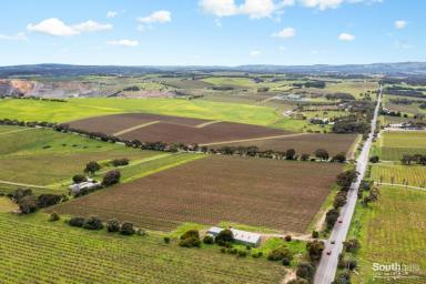 Farm Sold - SA - McLaren Vale - 5171 - 15 Acres – Breathtaking Views / Potential Building Site.  (Image 2)