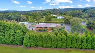 Farm Sold - VIC - Invermay - 3352 - PICTURESQUE PRODUCTIVE BALLARAT DISTRICT PROPERTY  (Image 2)