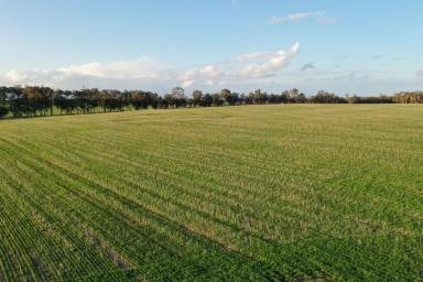 Farm Sold - WA - Scotts Brook - 6244 - Ideal Expansion Opportunity  (Image 2)