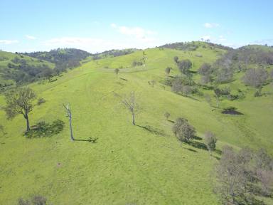 Farm For Sale - NSW - Numbugga - 2550 - 'Valley View' 
Spectacular Grazing Property with Stunning Views!  (Image 2)