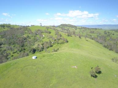 Farm For Sale - NSW - Numbugga - 2550 - 'Valley View' 
Spectacular Grazing Property with Stunning Views!  (Image 2)