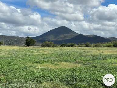 Farm Sold - NSW - Denman - 2328 - High Production Potential right on the Goulburn River!!  (Image 2)