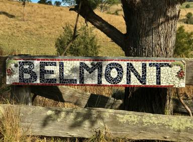 Farm For Sale - NSW - Numbugga - 2550 - Belmont and Valley View - 2 adjoining, meticulously maintained, broadacre grazing properties and homesteads, totaling 970 acres.  (Image 2)