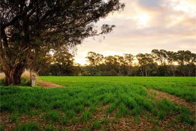 Farm Sold - VIC - Longlea - 3551 - LIFESTYLE OPPORTUNITY AWAITS ON LONGLEA LANE - 8.4ha (approx.) titled allotment with power connected  (Image 2)