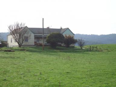 Farm Sold - TAS - Ringarooma - 7263 - Jersey Meadows  (Image 2)