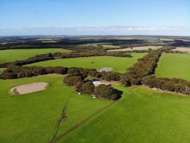 Farm Expressions of Interest - SA - Dudley East - 5222 - 'Moffy's Farm'  (Image 2)