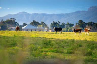 Farm Sold - NSW - Upper Lansdowne - 2430 - Complete Package Ready to Make Your Own  (Image 2)