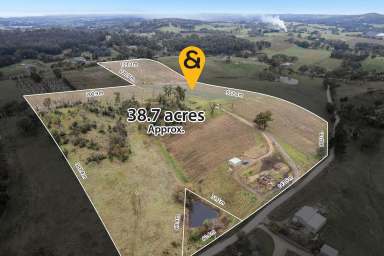 Farm Sold - SA - Lobethal - 5241 - Highgrove Vineyards  (Image 2)