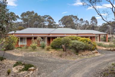 Farm Sold - VIC - Junortoun - 3551 - Family Home In Tranquil Native Surrounds  (Image 2)