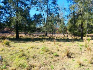 Farm Sold - NSW - Lionsville - 2460 - BUY YOUR OWN GOLD TOWN  (Image 2)