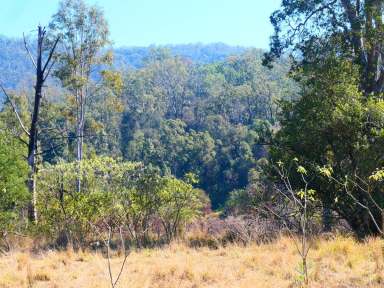 Farm Sold - NSW - Lionsville - 2460 - BUY YOUR OWN GOLD TOWN  (Image 2)