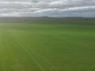 Farm Expressions of Interest - SA - Bowmans - 5550 - Cropping & Grazing Land  (Image 2)