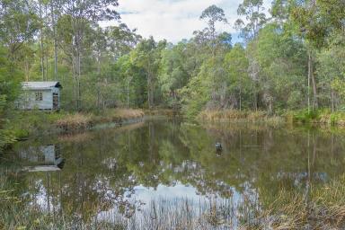 Farm Sold - QLD - Ringtail Creek - 4565 - Small Acreage Heaven With Added Benefits  (Image 2)