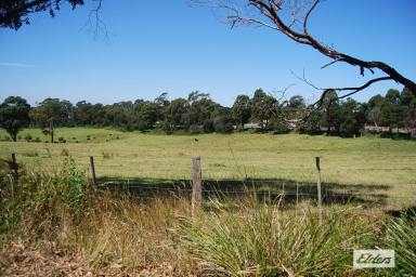 Farm For Sale - VIC - Lakes Entrance - 3909 - UNDER CONTRACT  (Image 2)
