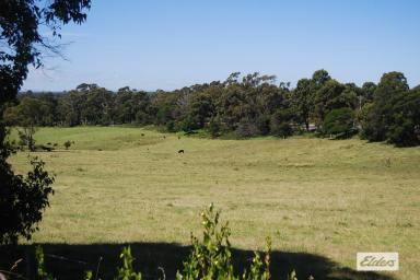 Farm For Sale - VIC - Lakes Entrance - 3909 - UNDER CONTRACT  (Image 2)