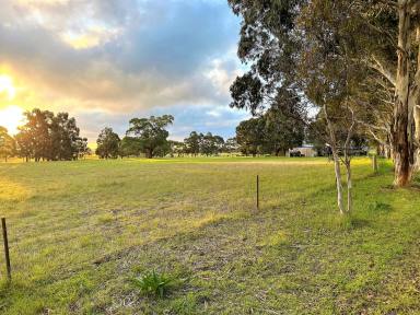 Farm Sold - SA - Naracoorte - 5271 - Delight in the lifestyle on offer here  (Image 2)