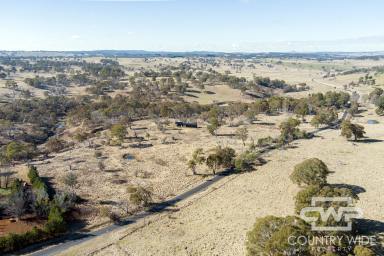 Farm For Sale - NSW - Guyra - 2365 - Getaway property with a building entitlement  (Image 2)