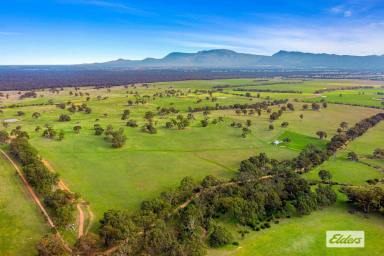 Farm Sold - VIC - Pomonal - 3381 - Grazing & Lifestyle With Outstanding Grampians Views - 290 Acres  (Image 2)