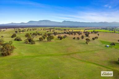 Farm Sold - VIC - Pomonal - 3381 - Grazing & Lifestyle With Outstanding Grampians Views - 290 Acres  (Image 2)