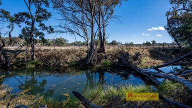 Farm For Sale - NSW - Mudgee - 2850 - 25 ACRES, CREEK FRONTAGE, MINUTES FROM MUDGEE  (Image 2)