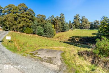 Farm Sold - TAS - Kettering - 7155 - Peaceful Land with Abundant Water  (Image 2)