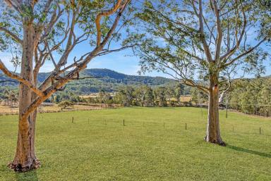 Farm For Sale - NSW - Mount View - 2325 - Picturesque Country Weekender  (Image 2)