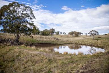 Farm Sold - NSW - Maybole - 2365 - "Koryphe" - Pristine Ben Lomond Grazing  (Image 2)