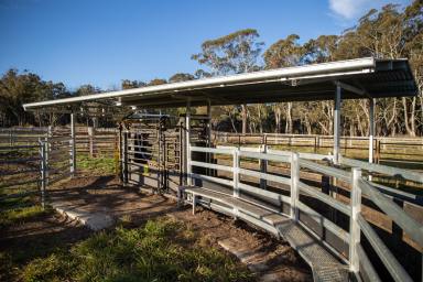 Farm Sold - NSW - Maybole - 2365 - "Koryphe" - Pristine Ben Lomond Grazing  (Image 2)