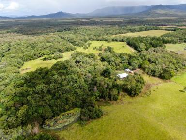 Farm Sold - QLD - Cooktown - 4895 - 4 Bedroom Home, Lavish Pastures and Billabong on 65 Acres  (Image 2)