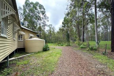 Farm For Sale - QLD - Bauple - 4650 - YOU'RE BUYING A PIECE OF HISTORY!  (Image 2)