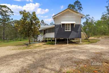 Farm For Sale - QLD - Bauple - 4650 - YOU'RE BUYING A PIECE OF HISTORY! AND ALL THE HARD WORK IS DONE.  (Image 2)