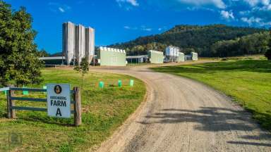 Farm Sold - QLD - Rathdowney - 4287 - Kirchberg Poultry Farm - Agribusiness investment opportunity  (Image 2)