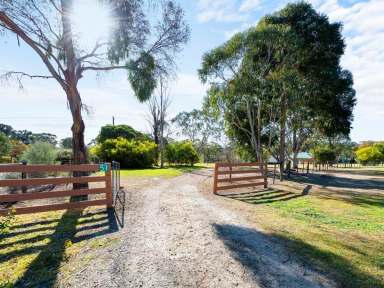 Farm Sold - VIC - Nicholson - 3882 - GORGEOUS COUNTRY HOMESTEAD ON 3.75 ACRES  (Image 2)