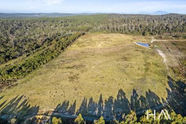Farm For Sale - TAS - Pipers River - 7252 - Introducing 'Quartz Stone', a rare gem set in the verdant heartland of Tasmania.  (Image 2)