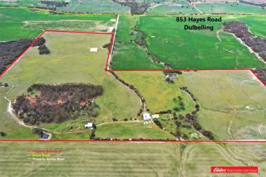 Farm Sold - WA - Dulbelling - 6383 - 70ha Rural Property with 4/6 Bedroom Home.  (Image 2)