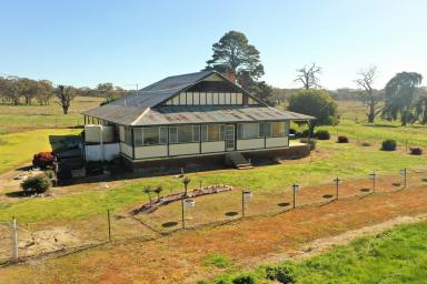 Farm For Sale - NSW - Young - 2594 - "Yandilla" - 356ac Mixed Farming Opportunity  (Image 2)